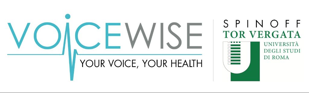 Voicewise Logo